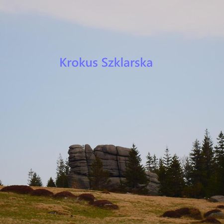 Apartament Krokus Szklarska Szklarska Poręba Eksteriør bilde