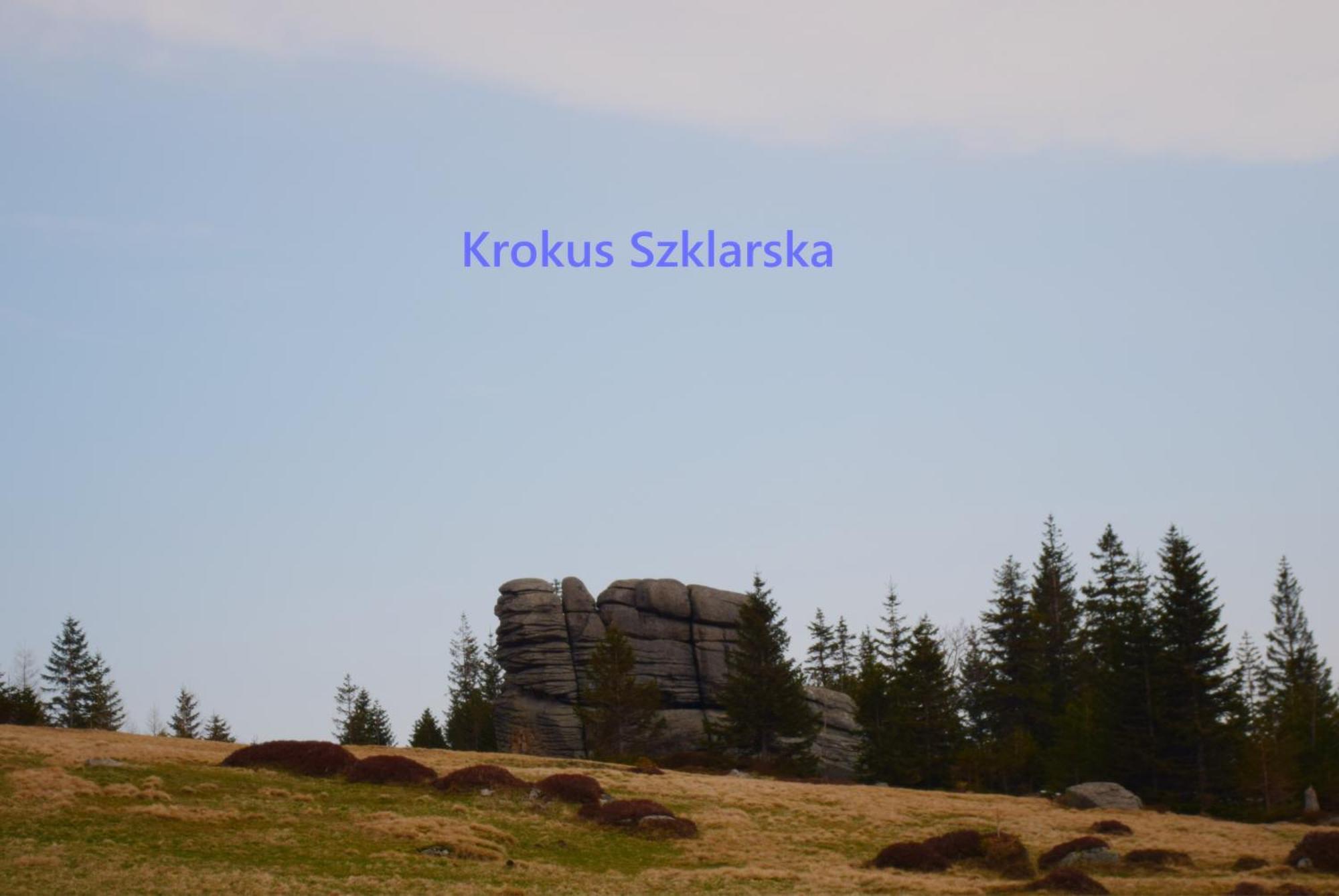 Apartament Krokus Szklarska Szklarska Poręba Eksteriør bilde