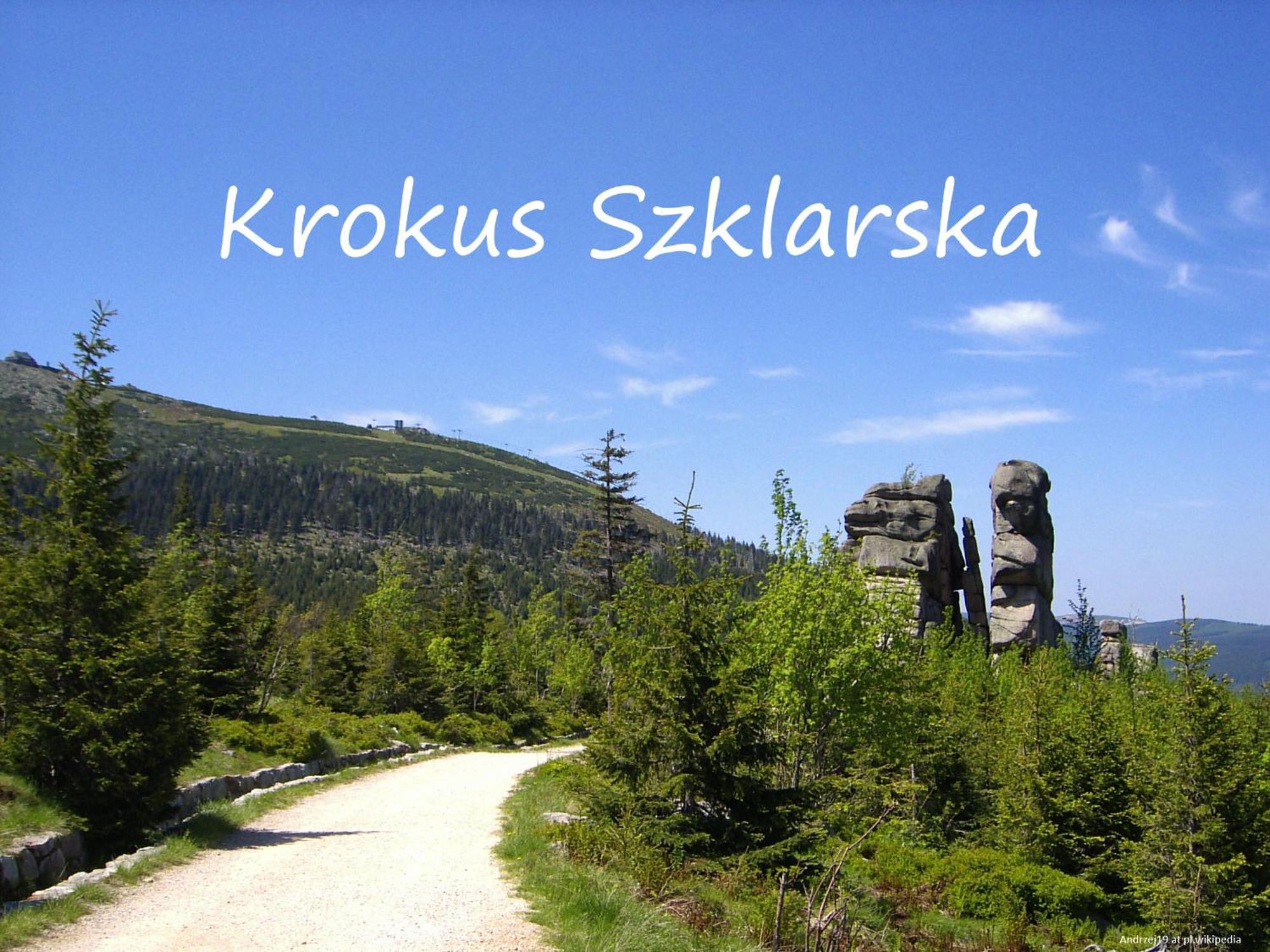Apartament Krokus Szklarska Szklarska Poręba Eksteriør bilde